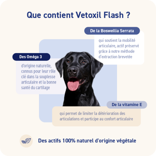 VETOXIL FLASH - Miniature 2