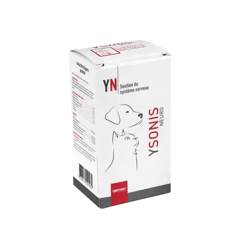 YSONIS NEURO YSONIS NEURO - Image 2