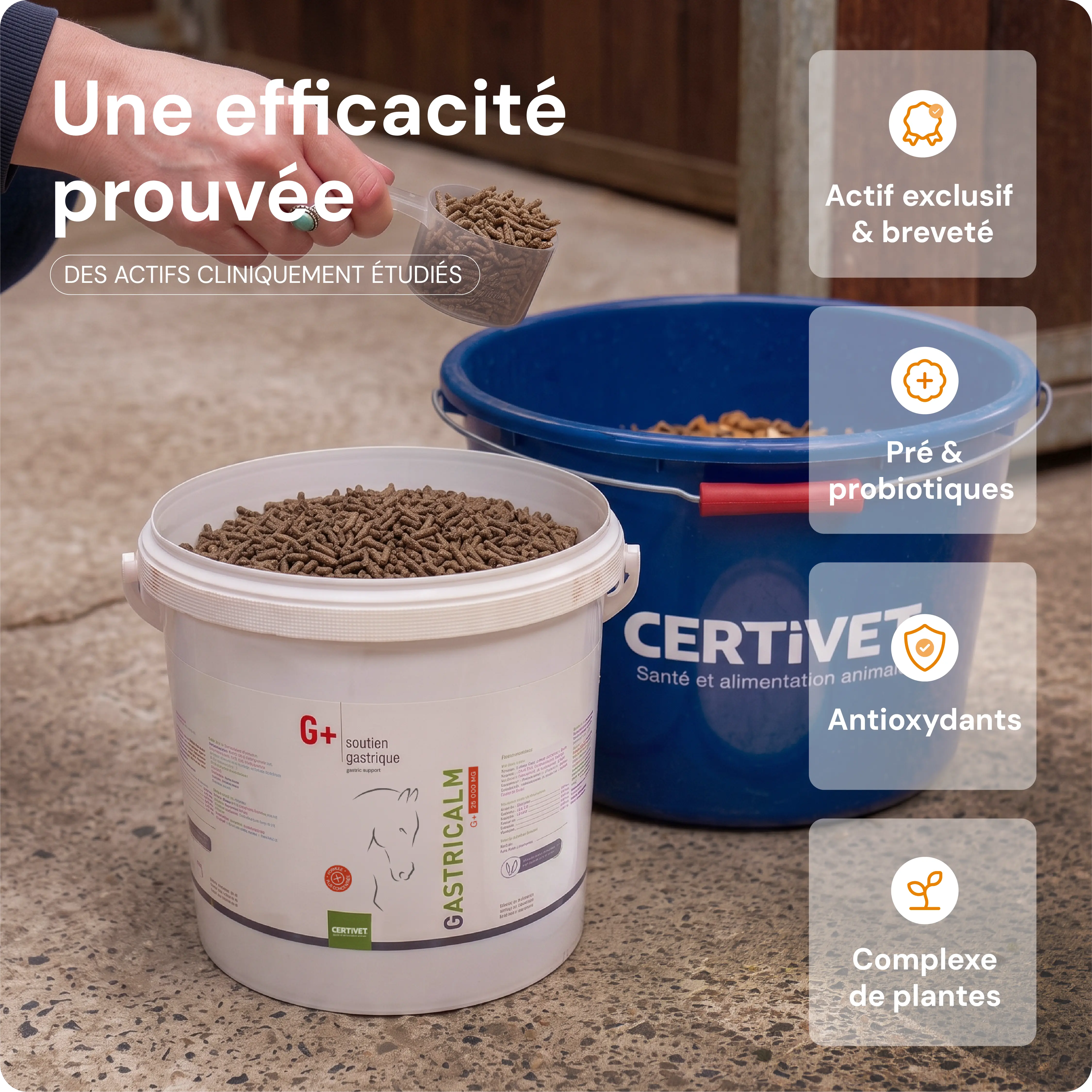 GASTRICALM G+ 25 000 MG - Miniature 3