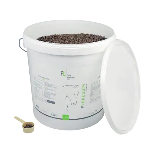 FLOREQUIN GRANULE - Miniature 6