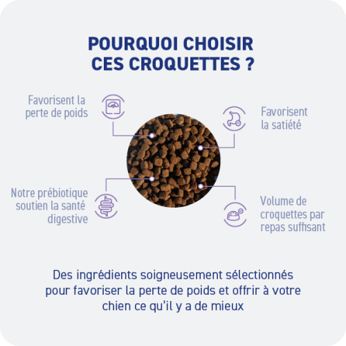 Croquette diététique - Obésité Chien Croquette diététique - Obésité Chien - Image 2