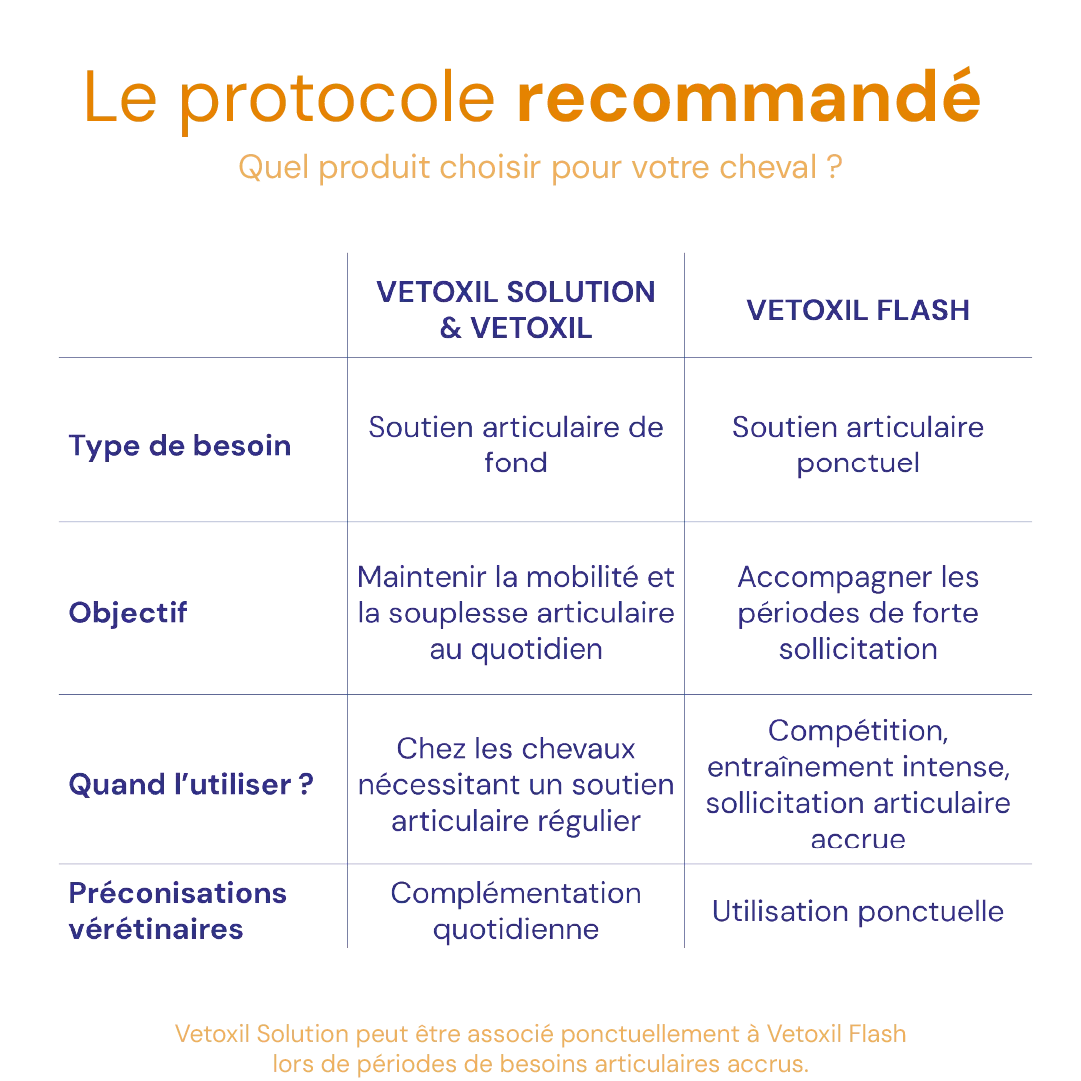 VETOXIL SOLUTION VETOXIL SOLUTION - Image 8