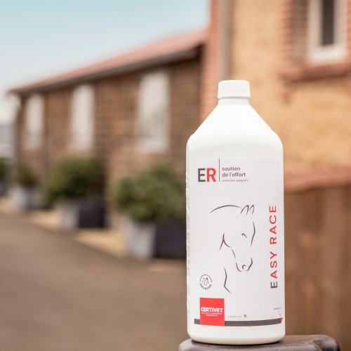 EASY RACE EASY RACE - Image 3