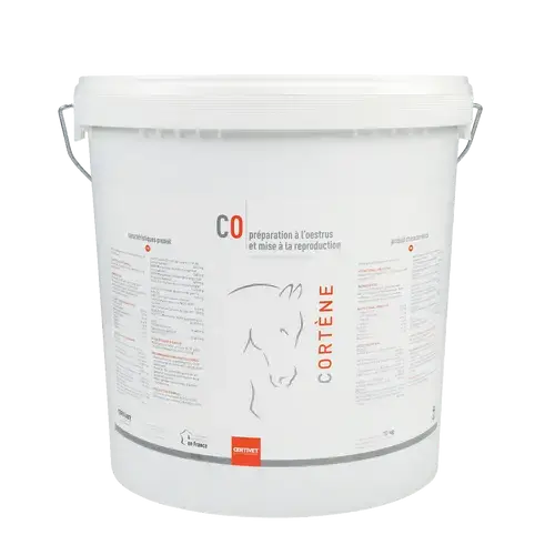 CORTENE CORTENE - Image 5