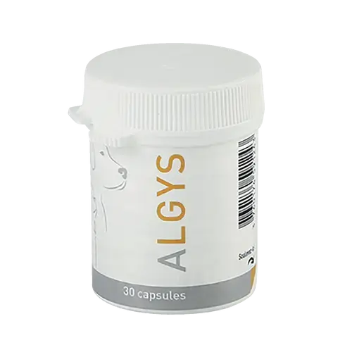 ALGYS - Miniature 1