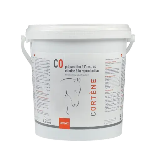 CORTENE CORTENE - Image 5