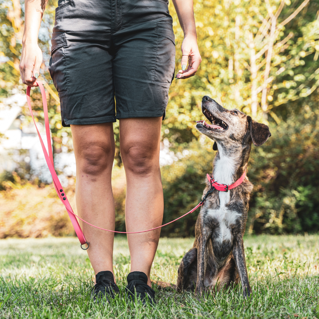 Les ordres essentiels à apprendre