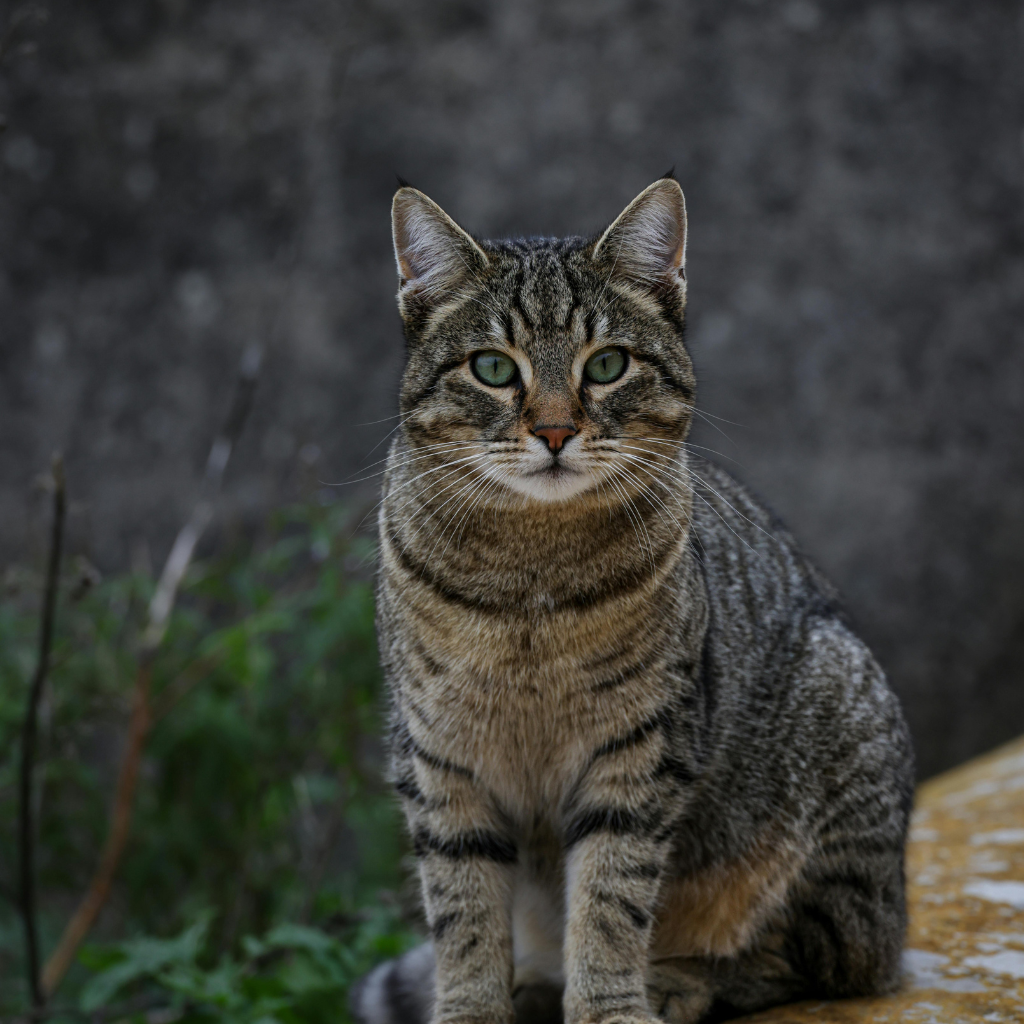 Ce qu'il faut retenir