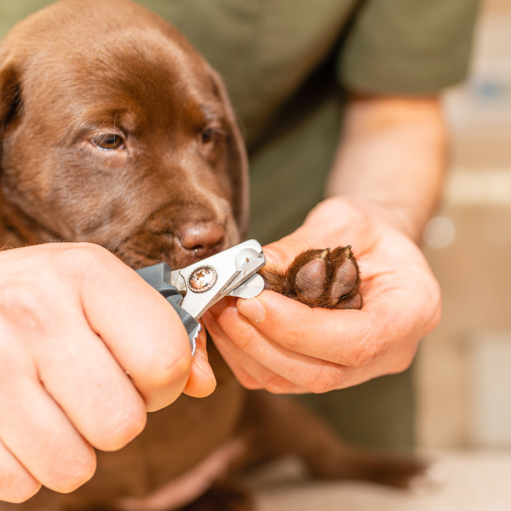 Ce qu'il faut retenir