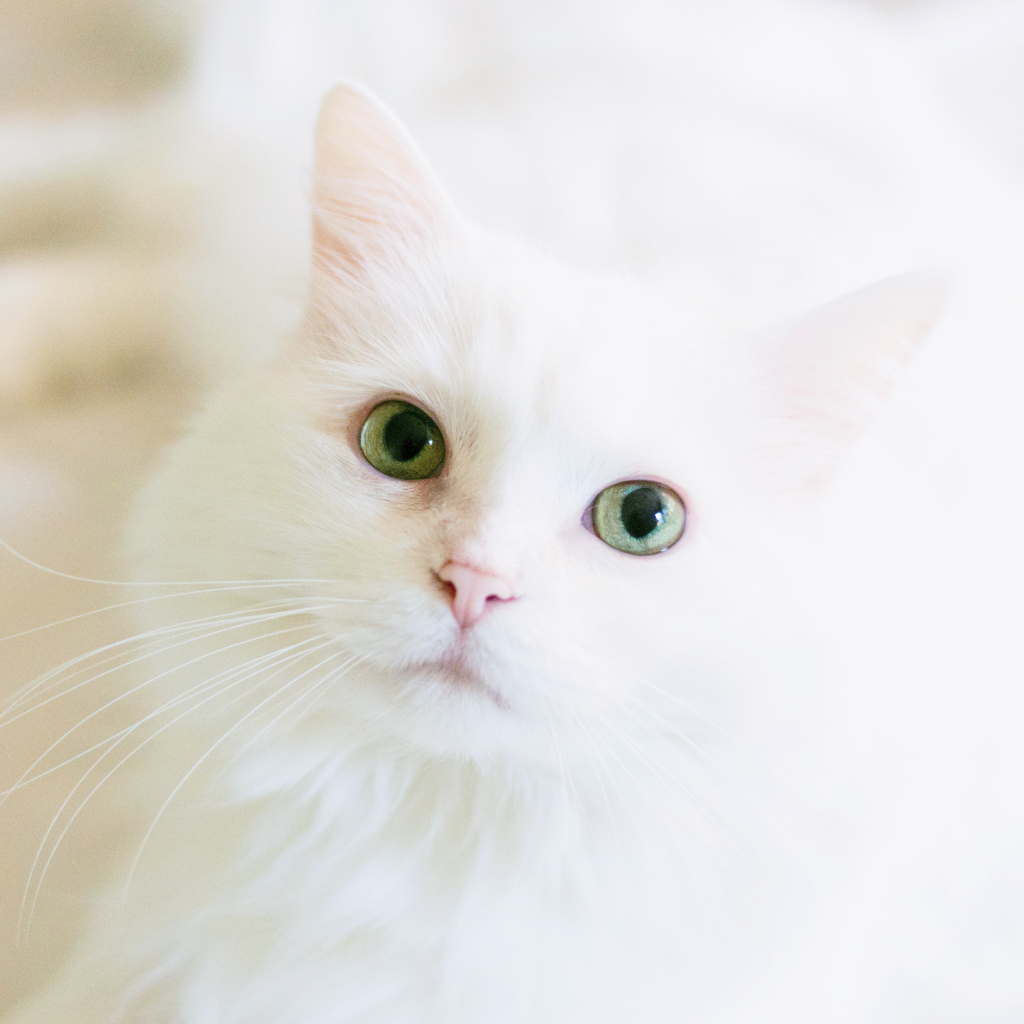 Ce qu'il faut retenir