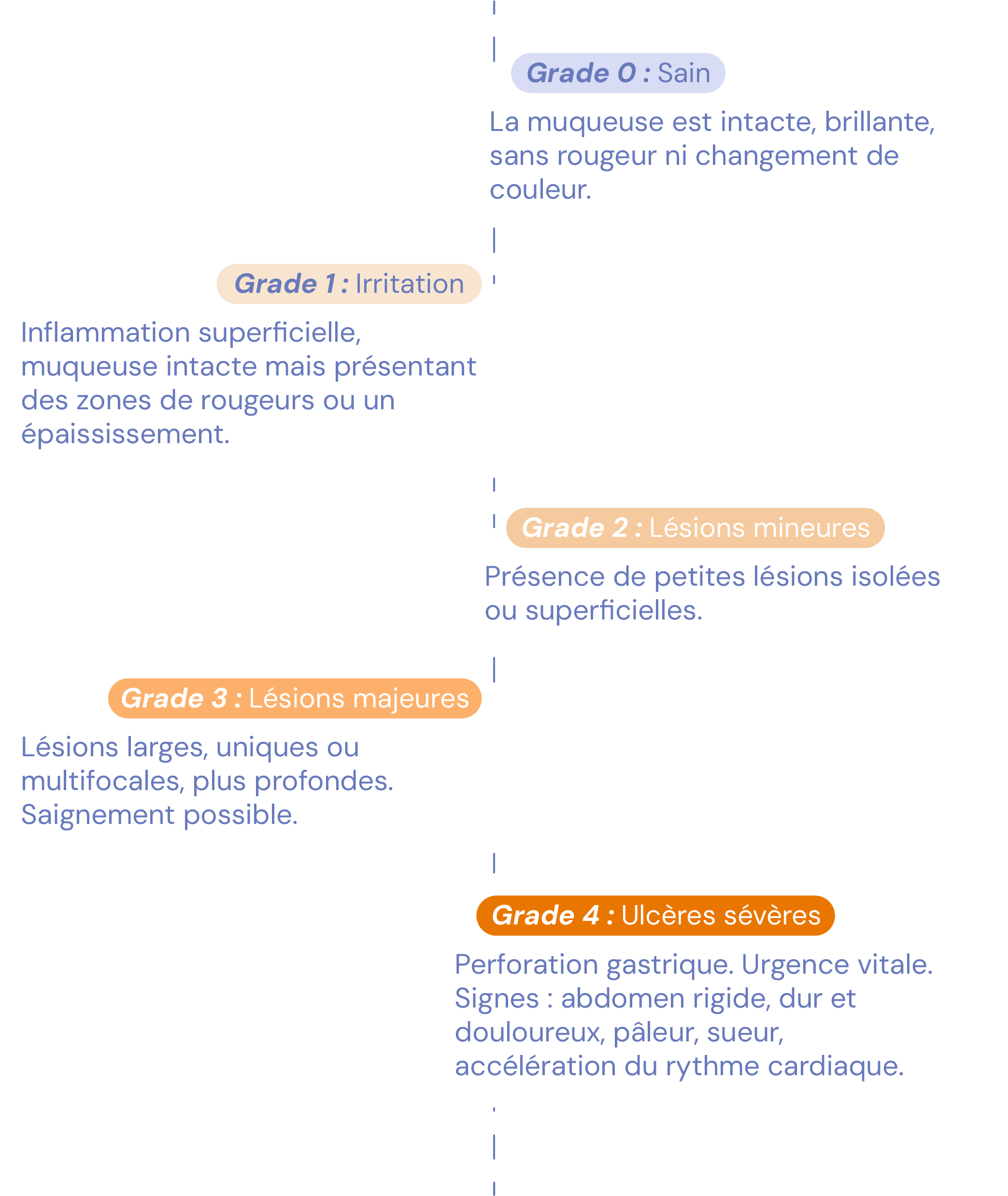 les grades d'ulcères chez le cheval
