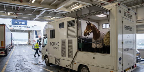 Le transport des chevaux en bateau