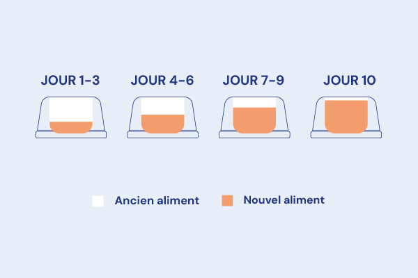 Comment procéder ?