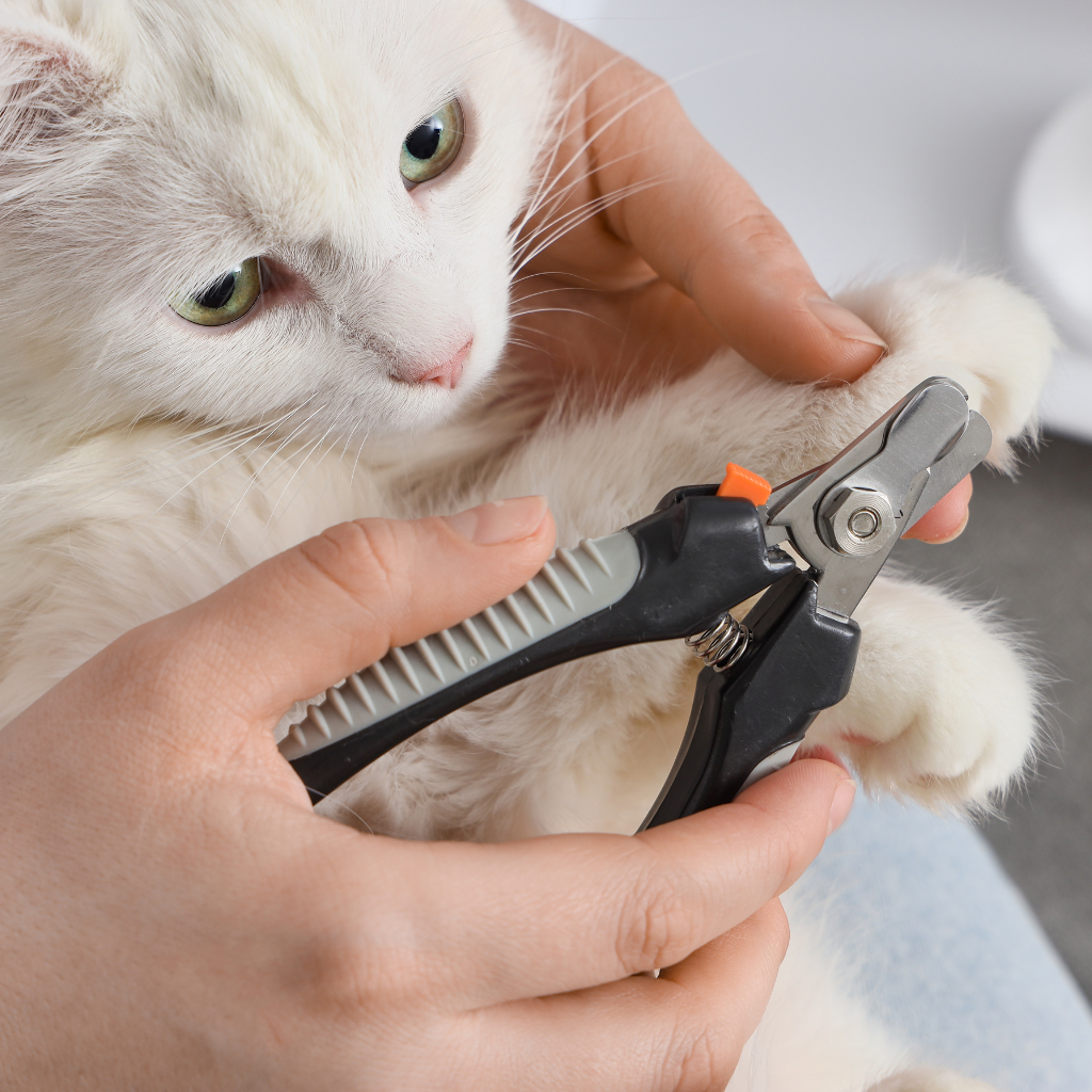 Ce qu'il faut retenir